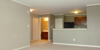 236 Bertram Dr Gallery 9