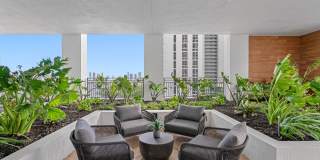 Soleste NoMi Beach Gallery 23