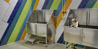 Centric Centric Gallery 11