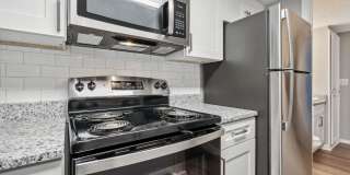 Buena Vista Gallery 5