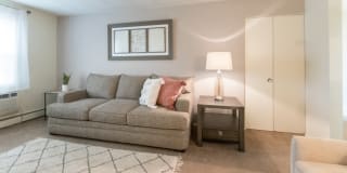 Lake of the Woods Gallery 13