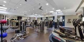 The Saratoga Gallery 25