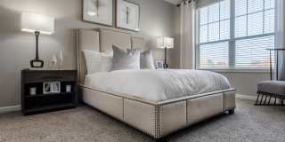 The Windsor Gallery 22