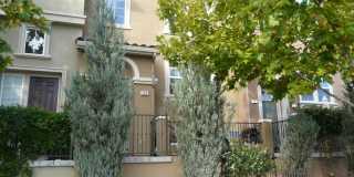 Gorgeous 3 bedroom 2.5 Bath with Bonus Room in Communication Hill Gallery 1