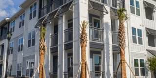 Madison Palms Gallery 8