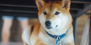 Laguna Reserve Gallery 1