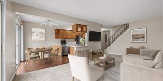 Beach South Gallery 12