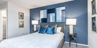 Solana Vista Gallery 40