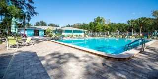 3300 FOX CHASE CIR N, #213, PALM HARBOR, FL 34683 Gallery 11