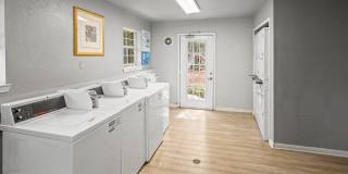 Forest View Gallery 25