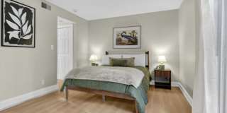 The Shelton Grove Gallery 1