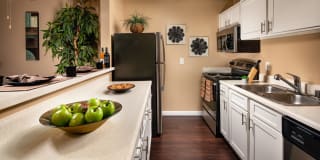 Renaissance Terrace Gallery 2