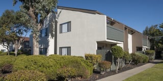 Sheridan Park Apartments Gallery 6