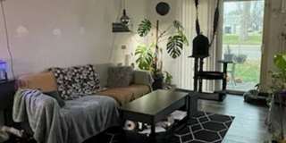 Valley Park (WBW) Association Gallery 1