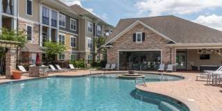 Red Knot at Edinburgh Gallery 14