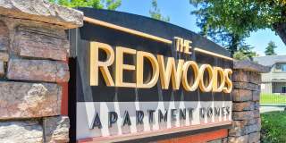 The Redwoods Apartments Gallery 26
