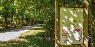 Lindenbrooke Gallery 16