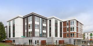 Encore Gallery 24