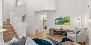 Palm Court Furnished Delight! Gallery 6