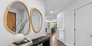 Aster & Links Gallery 85