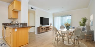 The Orsini Gallery 79