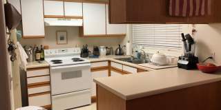 2 Bedroom, 2 Bathroom Centrally Located Condo Gallery 6