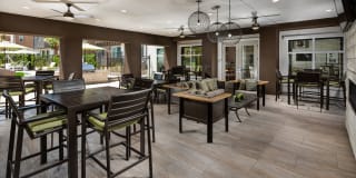 Terrano Gallery 13