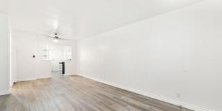 4115 Palmwood Gallery 5