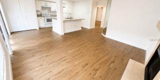 4702 SUTTON Terrace Gallery 24