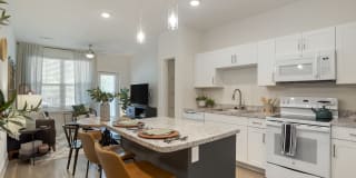 The Mason Fremaux Park Gallery 7