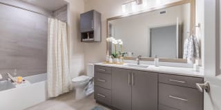 Vita Apartment Homes Gallery 11