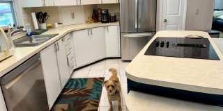 706 Oleander Circle Gallery 12