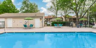 Sussex Downs Gallery 79