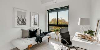 Linden Flats Gallery 7