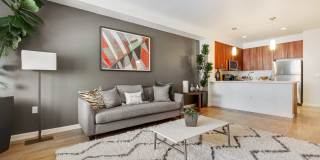 LINQ LINQ Gallery 14