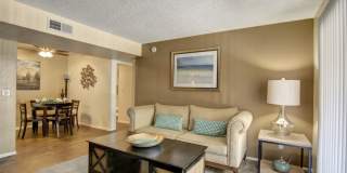 Paradise Falls Gallery 1