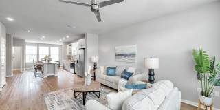 RISE Sereno Gallery 67