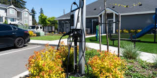 Imber at Union Mills Gallery 20