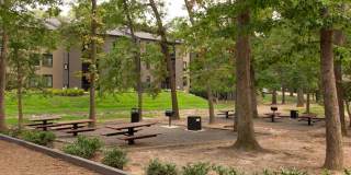 Lerner Springs at Reston Apartment Homes Gallery 5