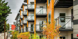 Janus Janus Gallery 8