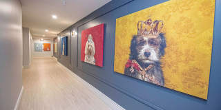 Gentry Gallery 27