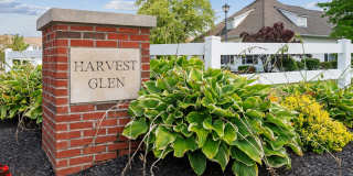 Harvest Glen Gallery 24