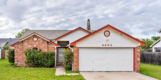 4203 Vicki Drive Gallery 1