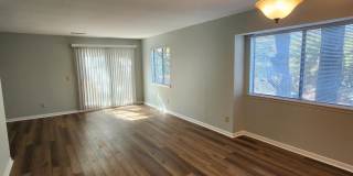 1151 Shadow Lake Circle Gallery 6