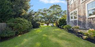 9 White Terrace Gallery 12