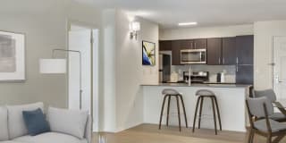 Avalon Cove Gallery 7