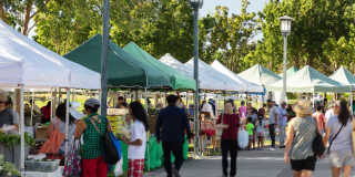 Avalon West Dublin Gallery 70