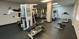 Museum Walk Gallery 4