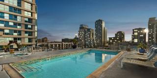 Renaissance Tower Gallery 7