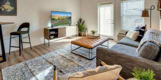 Cypress Gallery 3